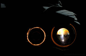 Lights of Predator