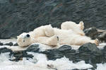 Lazy Polar Bear by amrodel