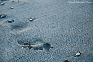 The Prints We Leave