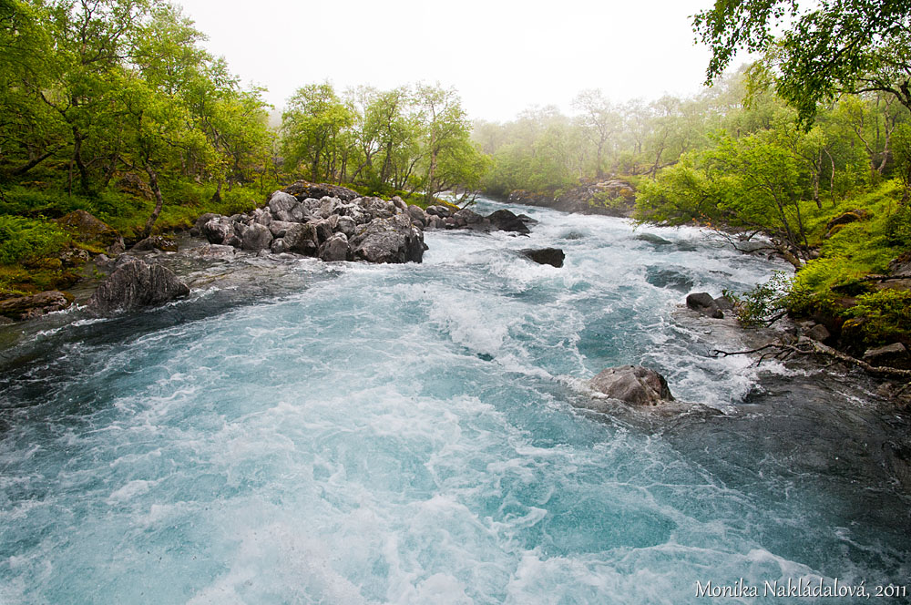 Wild River