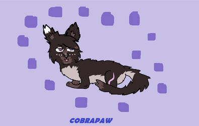 Cobrapaw-MS paint