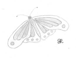 Butterfly Sketch