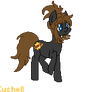 Pony Challange (1/10)