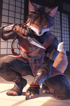 Fox Ninja [Closed]