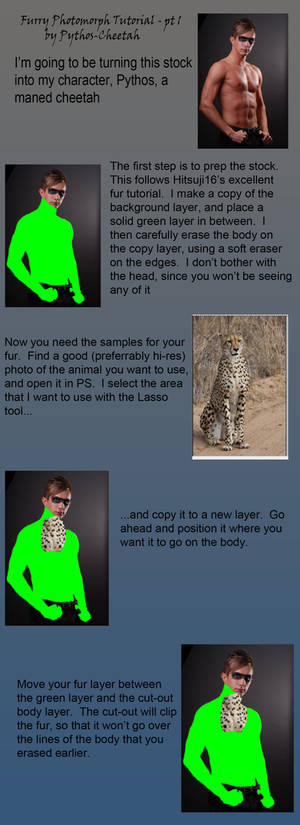 Furry Photomorph Tutorial - pt. 1