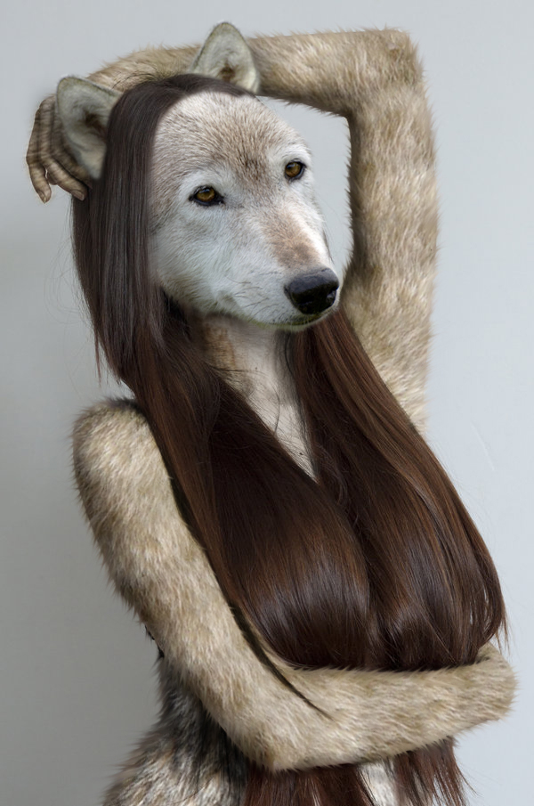 Deviantart Pythos Werewolf Werewolf Girl by pythos-cheetah on DeviantArt