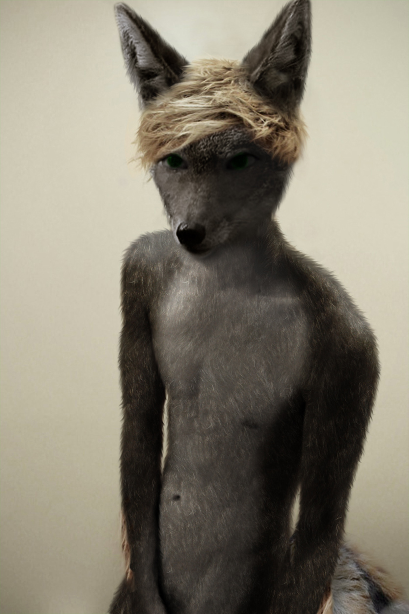 Deviantart Pythos Werewolf Darren Sapphire by pythos-cheetah on DeviantArt