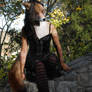 Fox on Rocks (In Socks!)