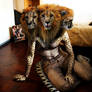 Pythos Cerberus