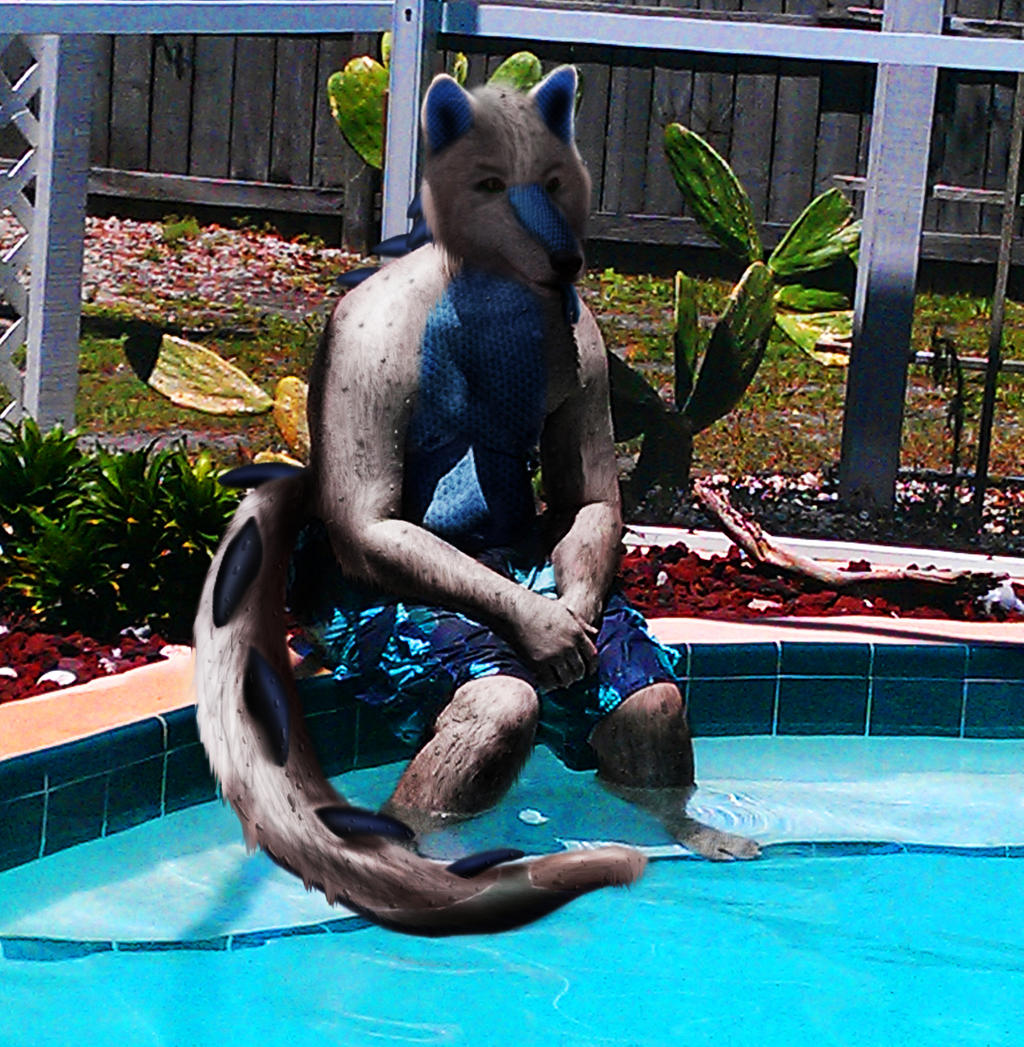 Deviantart Pythos Werewolf Down by the Pool by pythos-cheetah on DeviantArt