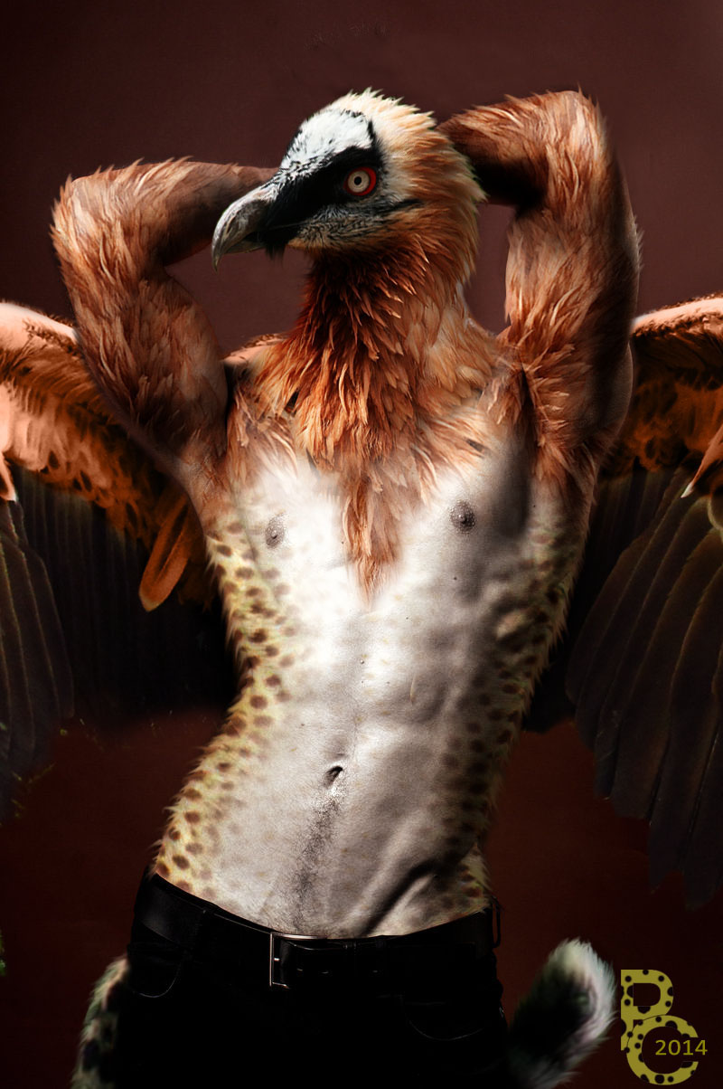 Pythos Griffon