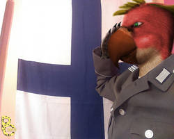 Patriotic Parakeet