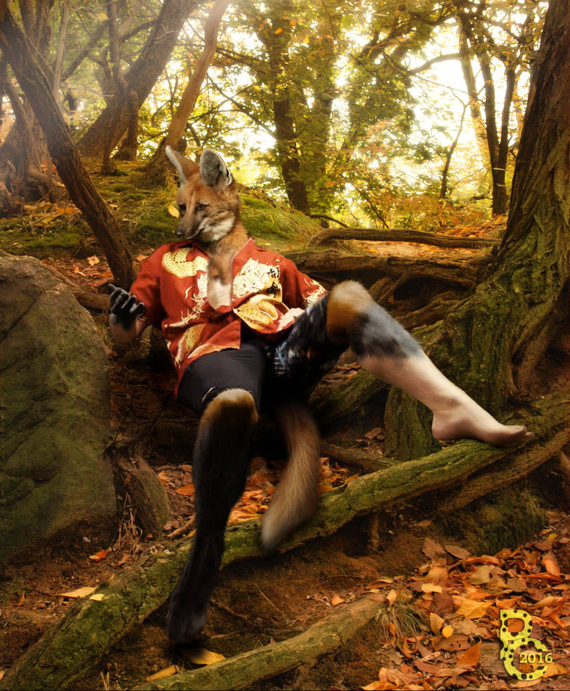 Lost in the Woods by pythos-cheetah