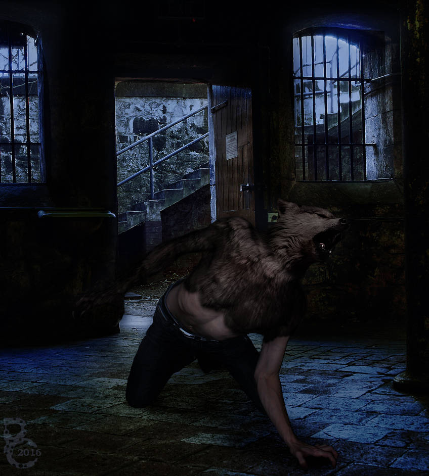 Deviantart Pythos Werewolf Halloween Werewolf by pythos-cheetah on DeviantArt