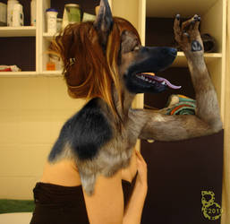 Doggie Change