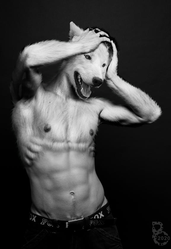 Deviantart Pythos Werewolf Black and White Wolf by pythos-cheetah on DeviantArt
