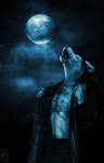 Wolf Moon by pythos-cheetah