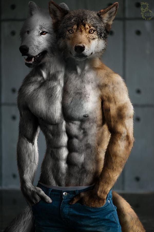 Deviantart Pythos Werewolf Conjoined Wolves by pythos-cheetah on DeviantArt