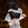 Werewolves Don't Need Shirts