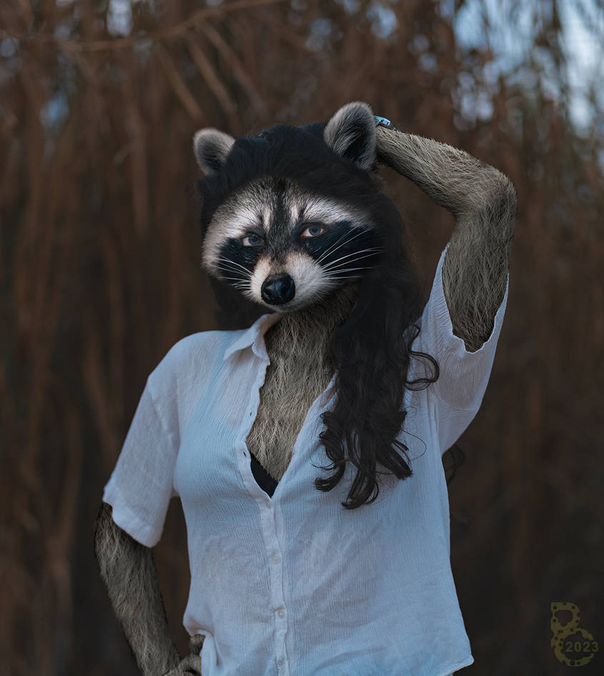 Raccoon Gift by pythos-cheetah on DeviantArt