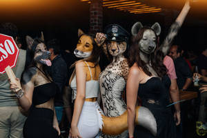 Party Animals