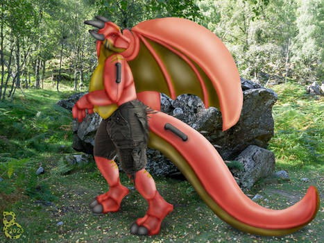 Year of the Inflatable Dragon