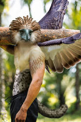 Bad Feather Day