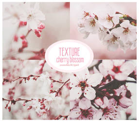 [STOP SHARE] PACK TEXTURE #2 - CHERRY BLOSSOM