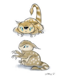 Baby likaa doodles