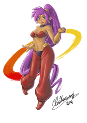 Shantae, 1/2 Genie Hero