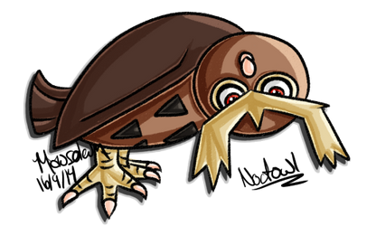 .Noctowl.