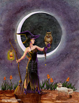 Hester and the Owl