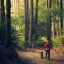 Friends Along the Way