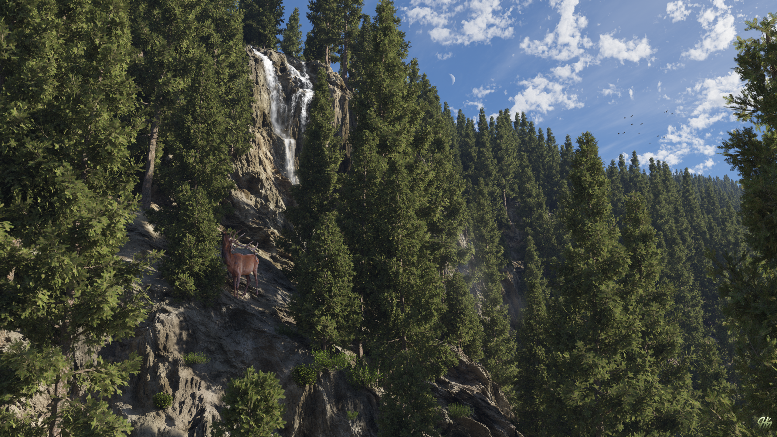 Rocky Slope