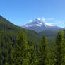 Mt. Hood