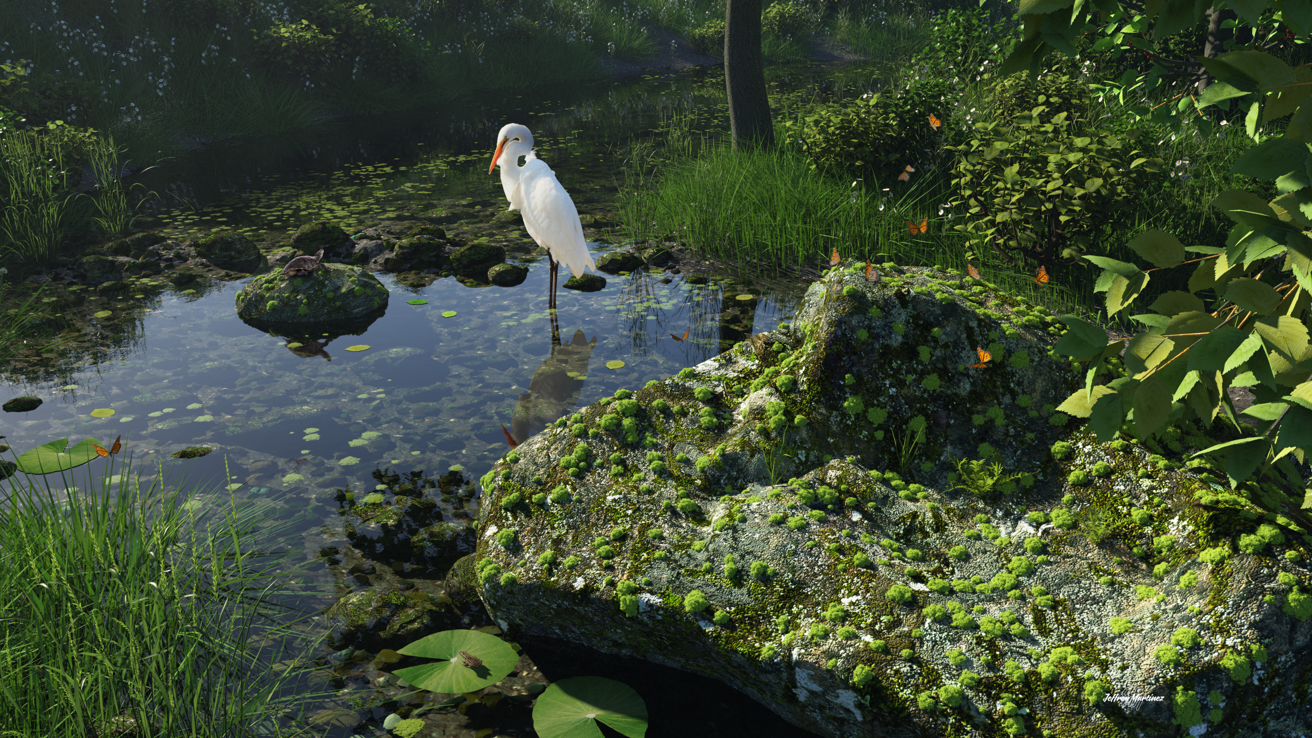 Cozy Creek