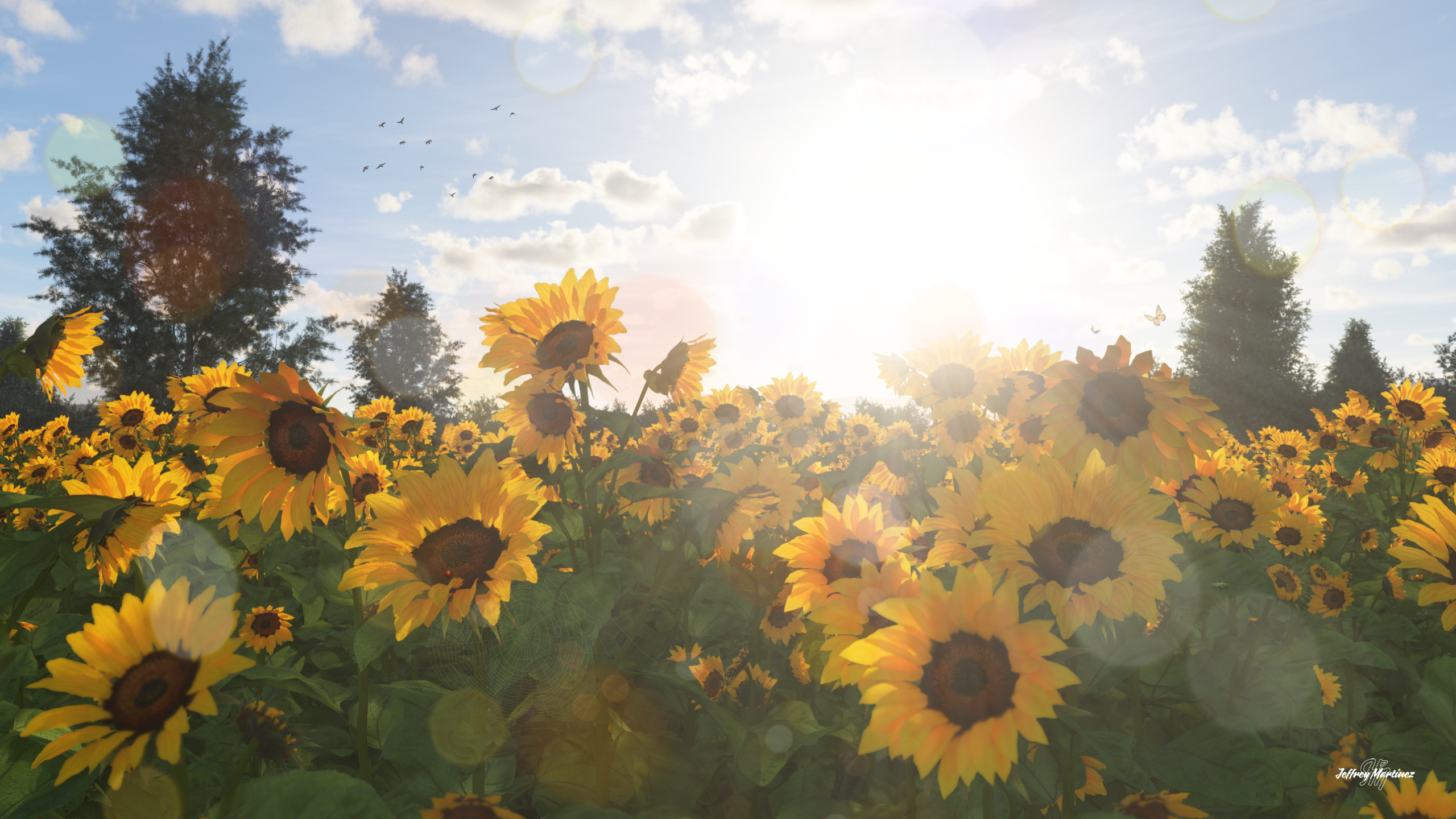 A Little Sunshine