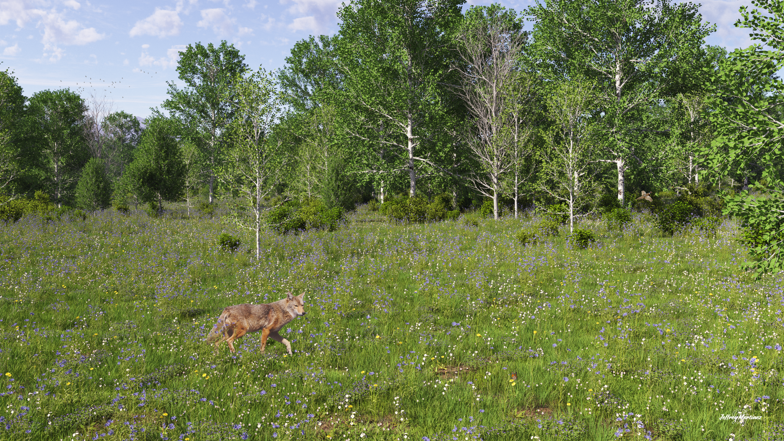 Meadow Crossing