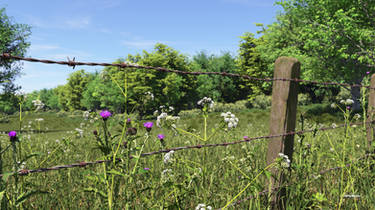 Meadow's Edge