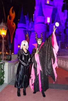 Riku--Magic Kingdom, Meeting Maleficent