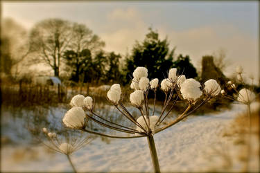 Snow Catcher