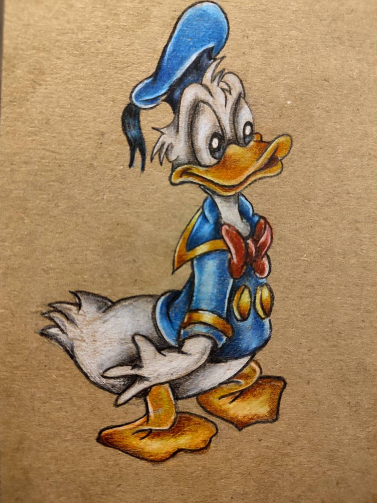 Donald duck by Planbeebeauty on DeviantArt