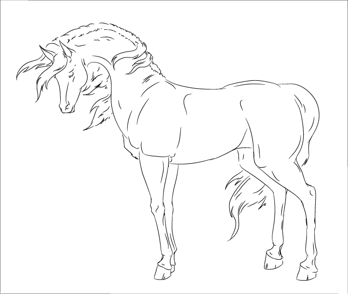 Horse Lines 5