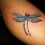 Dragonfly Tattoo - Yusufcuk