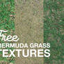 Free Bermuda Grass Textures