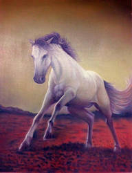 white horse