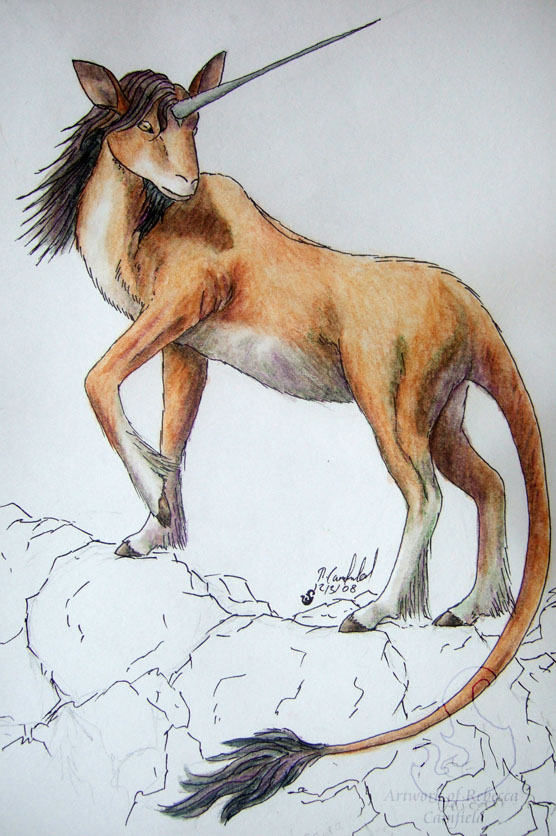 CF-unicorn by chaosia