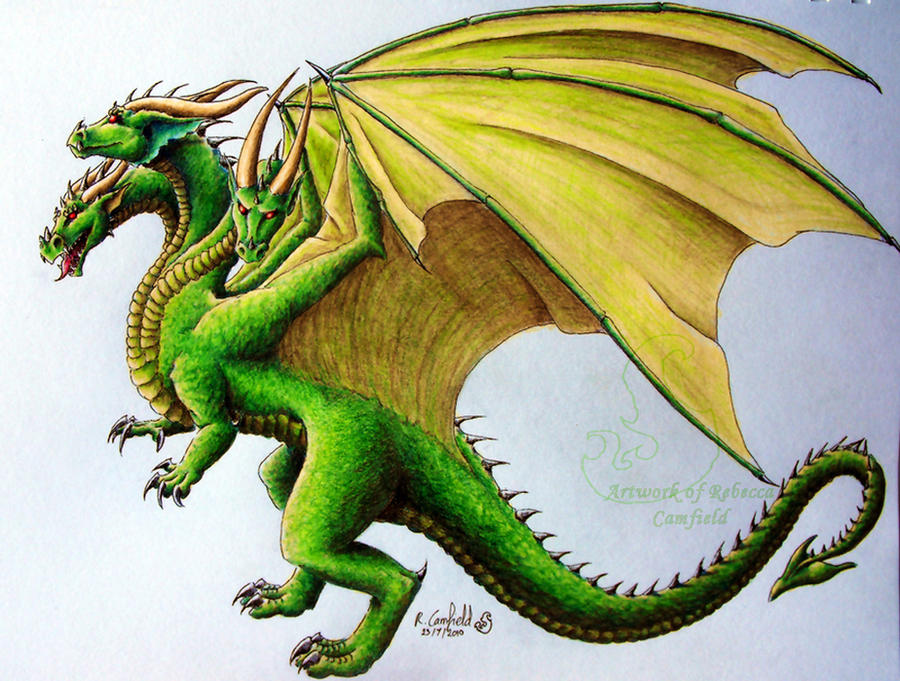 Three headed dragon by chaosia