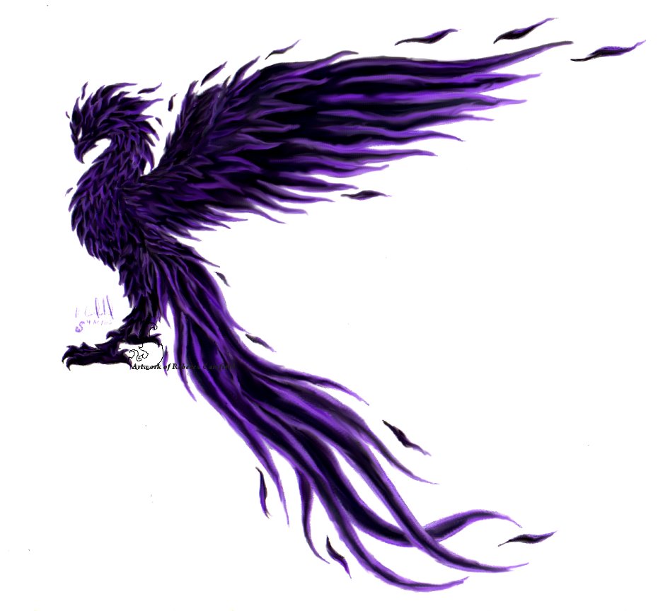 The Blackphoenix