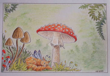 Under the Toadstool